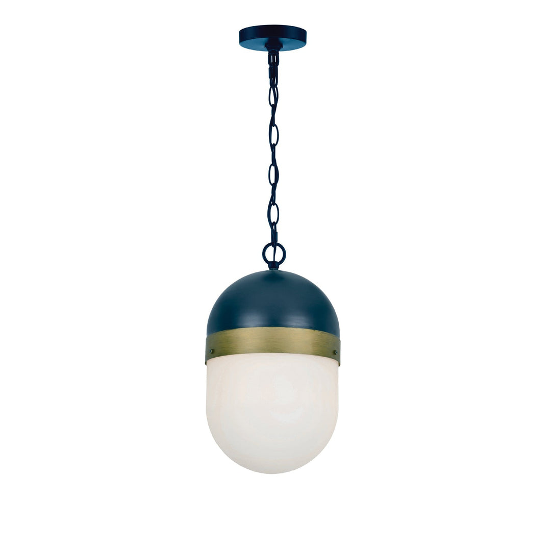 Crystorama Crystorama Brian Patrick Flynn Capsule 1 Light Matte Black + Textured Gold Outdoor Pendant
